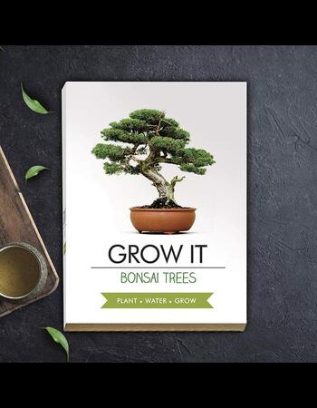 Grow it - Bonsai (mierne poškodené balenie)